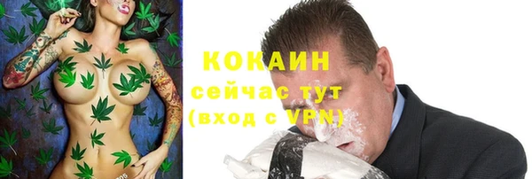 мяу мяу мука Надым