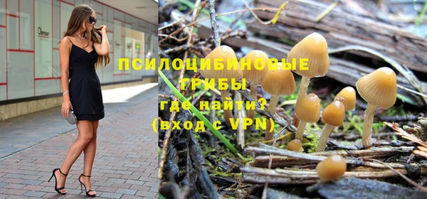 мяу мяу мука Надым