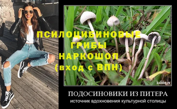 мяу мяу мука Надым