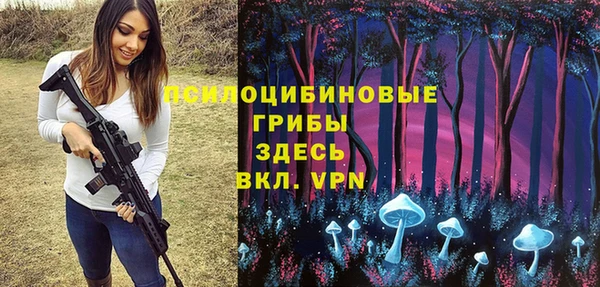 мяу мяу мука Надым